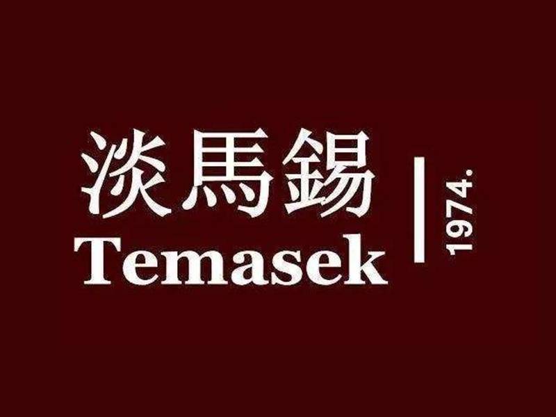 【第30期】淡马锡